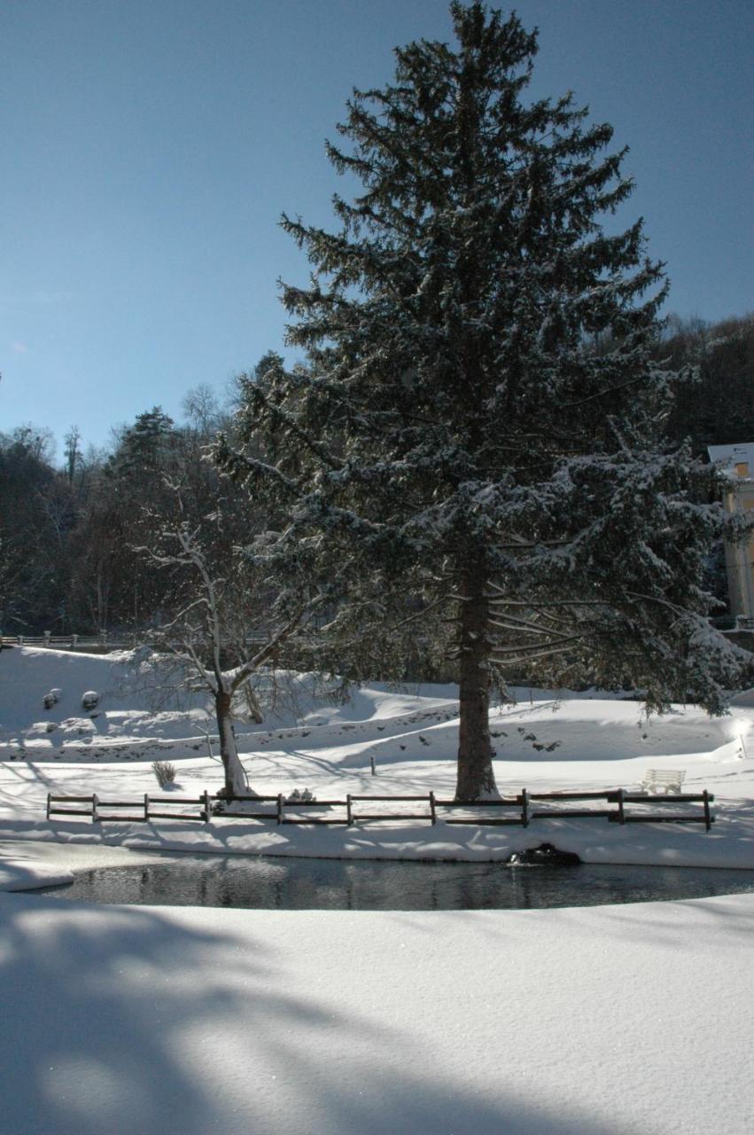 Appart Le Chili- Quartier Thermal- Parc Remarquable - Linge Fourni Luz-Saint-Sauveur Buitenkant foto